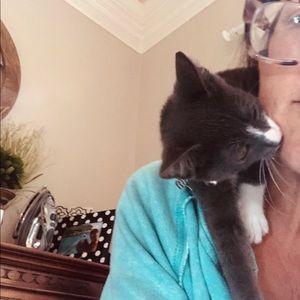 Meet your Posher, Gina